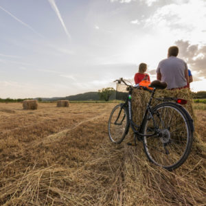 lloguer de bicicletes matarranya