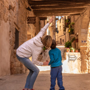 Picasso horta de sant joan