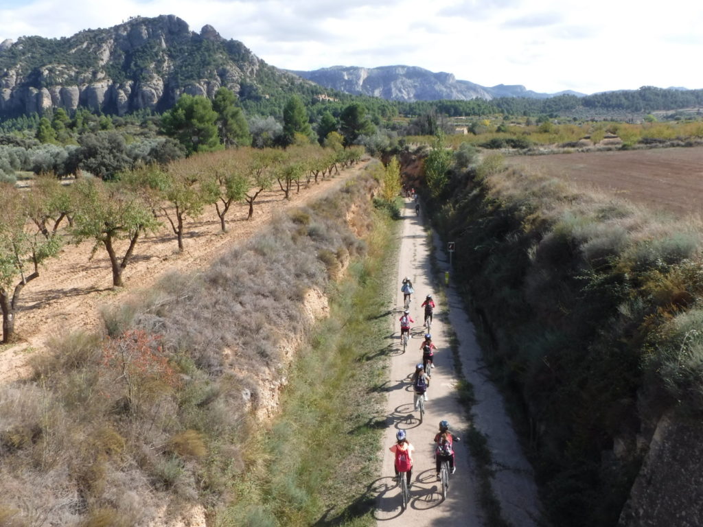 via verda terra alta lloguer bicicletes