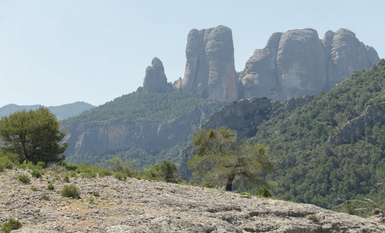 Vista de la cara nord de les Roques de Benet